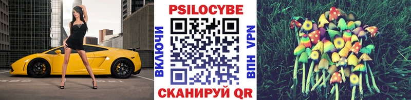 магазин продажи   shop формула  mega как войти  Псилоцибиновые грибы мицелий  Жиздра 